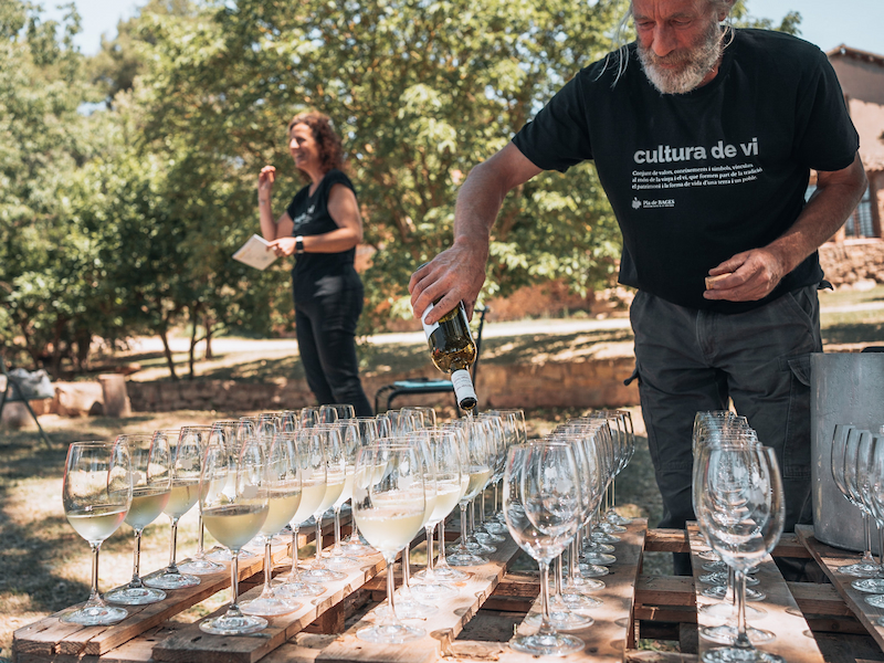 Enoexperiència: Winefulness entre vinyes amb visita al celler i tast