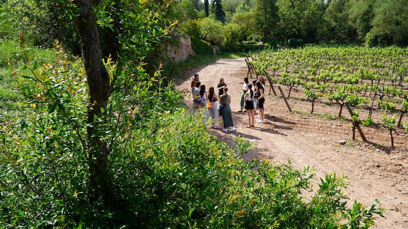 Abadal vinyes Grup d'enoturistes a les vinyes d'Abadal